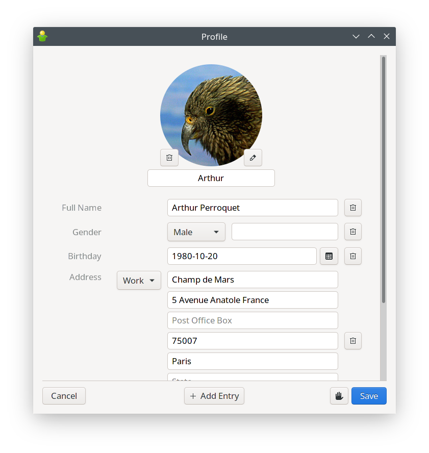Gajim&rsquo;s new Profile window: edit mode