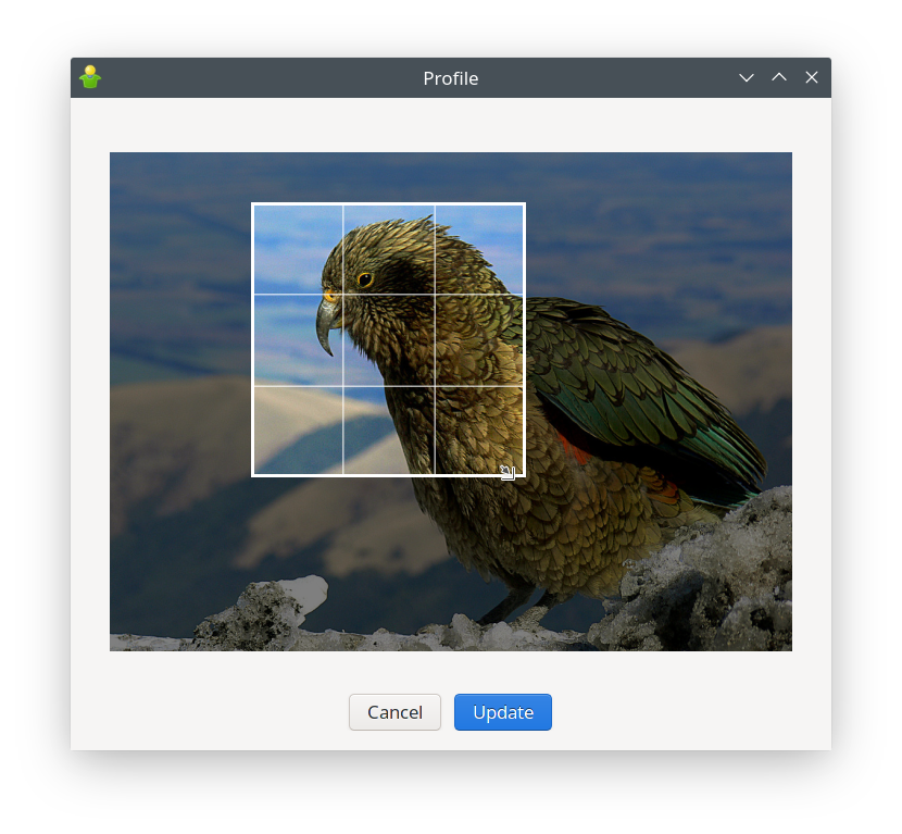 Gajim&rsquo;s new Profile window: picture selector